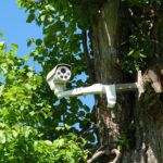 A white security camera mounted on a large tree with tons of green leaves contains multiple camera slots.