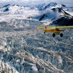 Redfin: Reservation Agents of Real Estate?