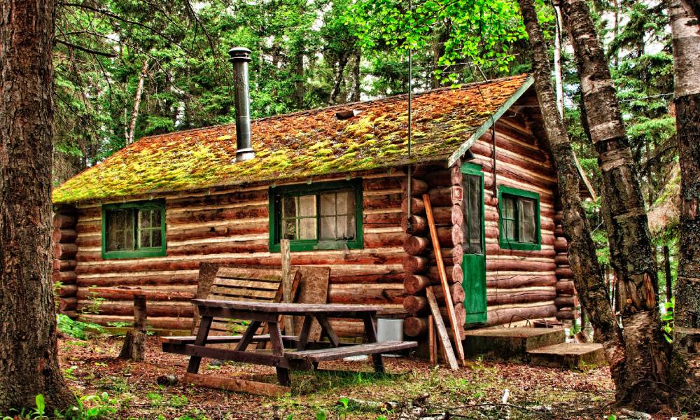A rustic log cabin nestled in the woods surrounded by trees with a metal chimney and a picnic table next to it.