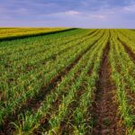 Sign for Lo Convento Ristorante