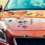 What Everyday Items Can Damage Your Car’s Paint? The hood of a red car covered in bird droppings. There are also some bird droppings on the windshield of the car.