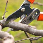 Things To Do Now To Prepare Your House for Spring Listing Things To Do Now To Prepare Your House for Spring Listing