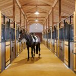 Tips for Hosting a Successful Equestrian Event Tips for Hosting a Successful Equestrian Event